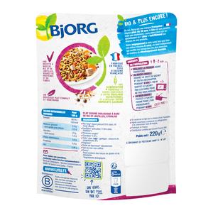 Achat Bjorg Veggie Riz Lentilles à l Indienne Plat Cuisiné Bio 220g