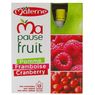 Materne - Ma pause fruit pomme framboise cranberry