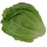  - Laitue iceberg