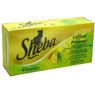 Sheba - Coffret primeur saveur viande et l�gumes