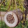 Truffaut - Rondin d'abeilles solitaires