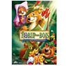 DVD - Robin des bois
