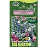 Truffaut - Fleurs � papillons en m�lange