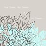 Lotus - Serviettes papier my dream lotus bleu