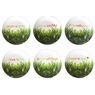 Incidence - 6 assiettes � dessert j'aime la nature