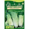 Truffaut - Chicor�e a larges feuilles am�lior�e pain de sucre 