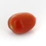  - Tomate allong�e