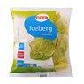 Cora - Laitue iceberg