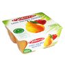 Materne - Dessert de fruits pomme/poire