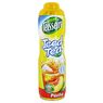 Teisseire - Sirop Ice tea p�che