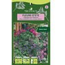 Truffaut - Fleurs d'�t� - M�lange pour balcons & terrasse