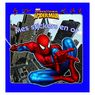 Hachette Livres - Mes stickers en or- Spiderman