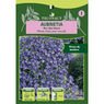 Truffaut - Aubrietia Roi des bleus