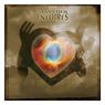  - CD- Les enfoir�s- Dans l'oeil 