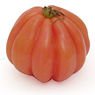  - Tomate coeur de boeuf
