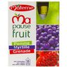 Materne - Ma pause fruit pomme myrtille grenade