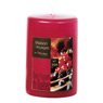 Devineau - Bougie cylindrique baies rouges