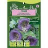 Truffaut - Cob�e grimpante violette