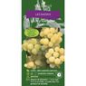 Truffaut - Vigne Ampelia� perdin   