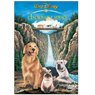 DVD - L'incroyable voyage - Le film