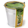 Radis Et Capucine - Pot zinc 12 cm Menthe Bio