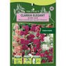 Truffaut - Clarkia elegant double varie
