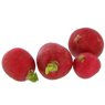  - Radis rouge �queut�