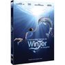 DVD - L'incroyable histoire de Winter le dauphin 