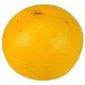 Fort & Vert - Pomelos bio star ruby
