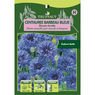 Truffaut - Centaur�e Barbeau bleue bleuet double