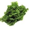  - Feuille de ch�ne