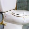 Baby Sun Nursery - Loquet souple toilettes