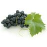  - Raisin noir Bonheur