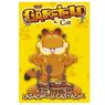 DVD - Garfield- Lasagne et castagne