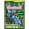 Truffaut - Ipom�e saphir a grande fleur bleu ciel