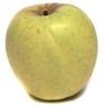  - Pomme Golden