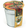 Radis Et Capucine - Pot zinc 12 cm Tomate 'Cerise' Bio