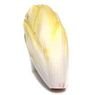  - Endive