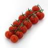  - Tomate cerise grappe
