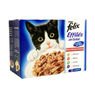 Felix - Felix effil�s en gel�e poisson