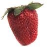  - Fraise Clery