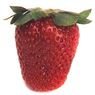 Fort & Vert - Fraise ronde bio