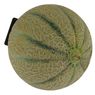 Fort & Vert - Melon charentais bio