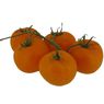 - Tomate grappe orange