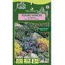 Truffaut - Fleurs vivaces en m�lange