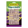 Algoflash - Pi�ge � souris