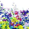 Paperproducts Design - 20 serviettes papier jardin fleuri