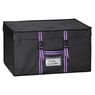 Rangement & compagnie - Malle gain de place family 100l
