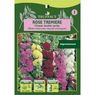Truffaut - Rose tremiere Chater double vari�e