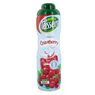 Teisseire - Sirop de Cranberry